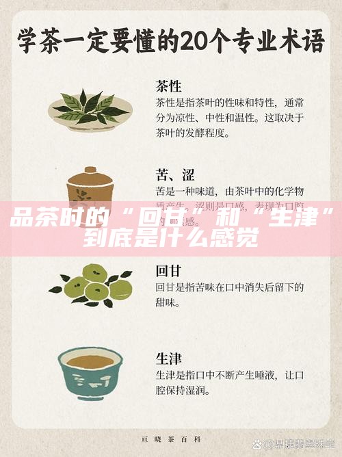 品茶时的“回甘”和“生津”到底是什么感觉