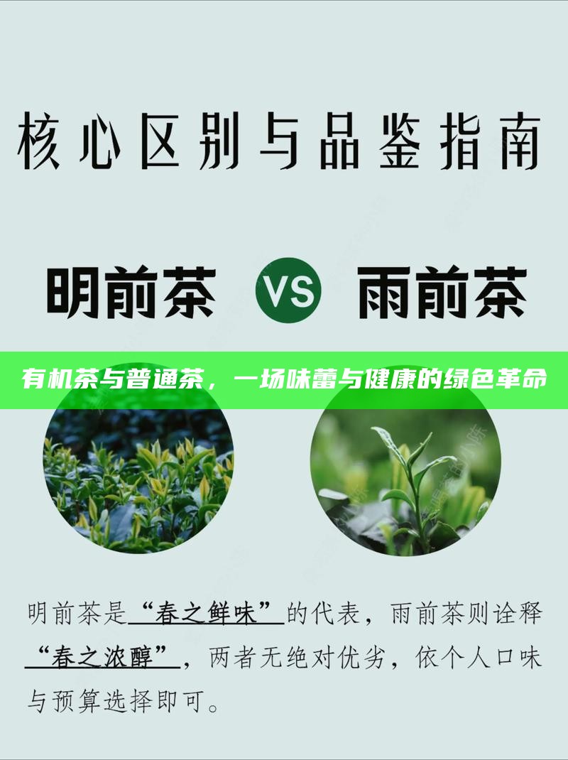 有机茶与普通茶，一场味蕾与健康的绿色革命